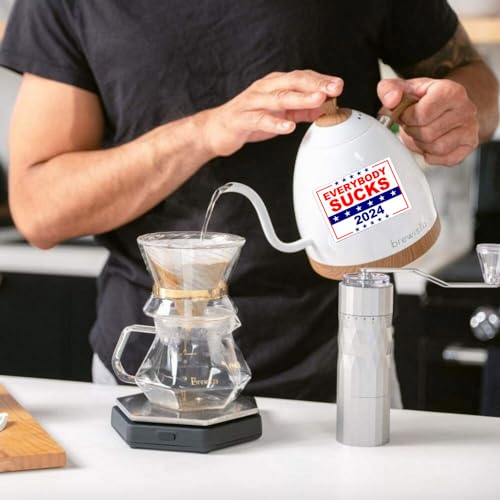 10-Pack Everybody Sucks 2024 Political Stickers