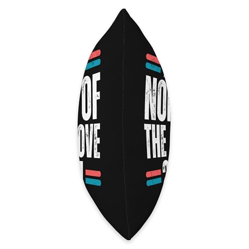 None of the Above 2024 Election Comedy Pillow