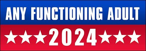 Any Functioning Adult 2024 Political Sticker