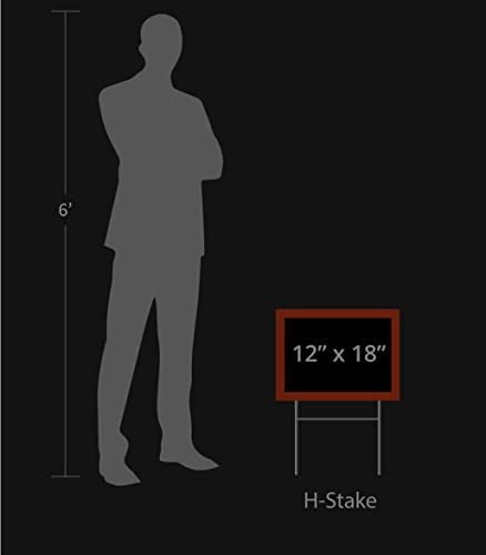 Giant Meteor 2024 Yard Sign with Metal Stake