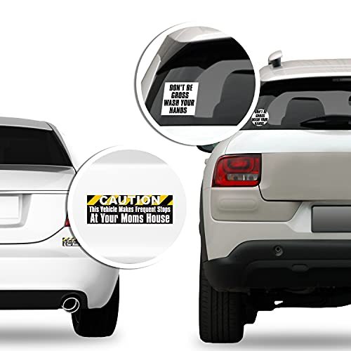 Any Functioning Adult 2024 Political Sticker