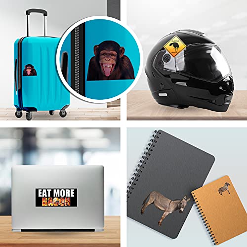 Any Functioning Adult 2024 Political Sticker