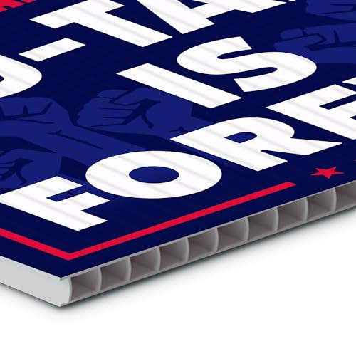 Humorous Double Sided Political Yard Sign 2024