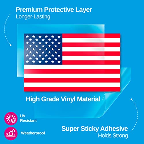 Any Functioning Adult 2024 Political Sticker