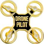 LEO Challenge Coins Gold UAS Commercial Drone Pin