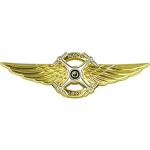 EL13-016 Commercial Drone Pilot Wings Pin