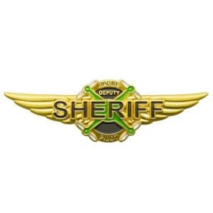 Deputy Sheriff Police Drone Pilot Wings Pin