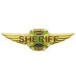 Deputy Sheriff Police Drone Pilot Wings Pin