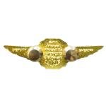 Deputy Sheriff Police Drone Pilot Wings Pin