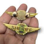 Deputy Sheriff Police Drone Pilot Wings Pin