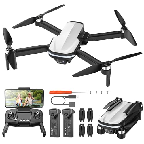Holy Stone HS280D FPV Drone with 1080P Camera