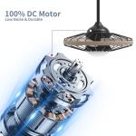 20 Inch Waterproof Outdoor Ceiling Fan with Remote