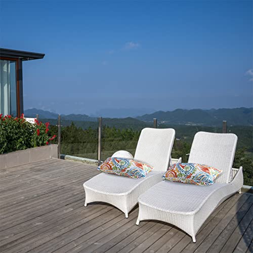 Paisley Print Outdoor Lumbar Pillows Set of 2