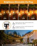 Outdoor Dimmable Festoon Lights with Timer & Bulbs