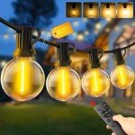 65.5Ft LED Outdoor String Lights with Remote