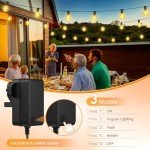 G40 Outdoor String Lights with Remote Control 100FT