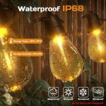Nextyu 15M Outdoor Garden String Lights with Remote