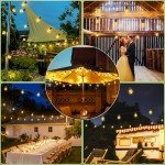 Waterproof LED Festoon String Lights - 10M