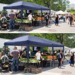 Pop-Up Gazebo Canopy for Outdoor Events