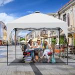 10x10 FT Instant Pop Up Canopy Tent