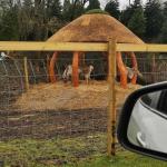 4m Thatched Wooden Gazebo for Summer Fun