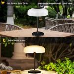 ivSunTEK Solar Outdoor Table Lamp with Dimmable Touch