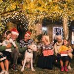 15m Waterproof LED Fairy Lights for Outdoor Use