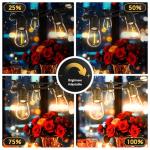 30Ft Outdoor LED String Lights with Remote