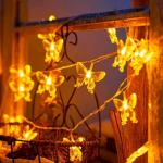 20 LED USB Fairy Lights for Garden & Parties