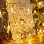 20 LED USB Fairy Lights for Garden & Parties