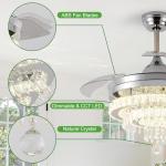 Liokoc Modern Ceiling Fan with Light and Remote