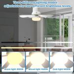 Solar Ceiling Fan Light with Remote & 3 Colors