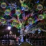 Joomer Battery-Operated LED Ball Lights - 2PC