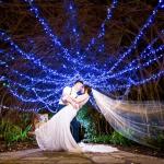 Blue LED Fairy Lights - 10m Battery Operated 4 Pack