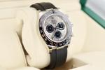 Rolex Daytona GHOST White Gold Oysterflex Watch