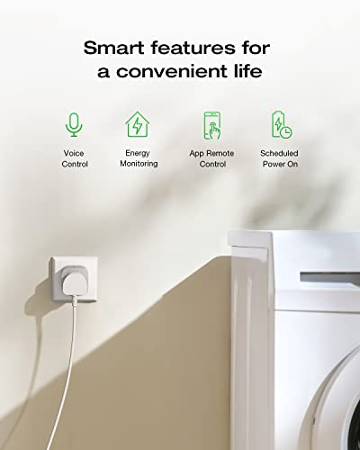 ECOFLOW Smart Plug with Energy Tracking & Control
