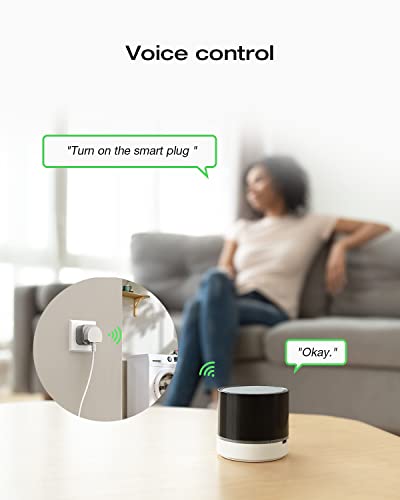 ECOFLOW Smart Plug with Energy Tracking & Control