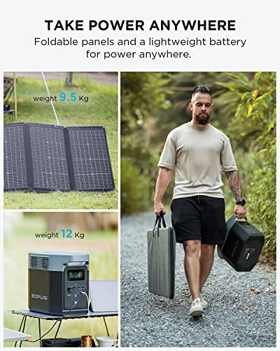 EcoFlow DELTA 2 Solar Generator & 220W Panel