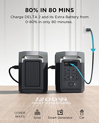 EcoFlow DELTA 2 Extra Battery for Backup Power