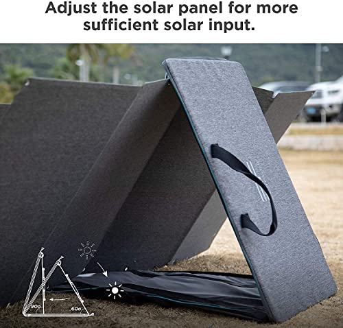 EF ECOFLOW 160W Foldable Solar Charger Panel