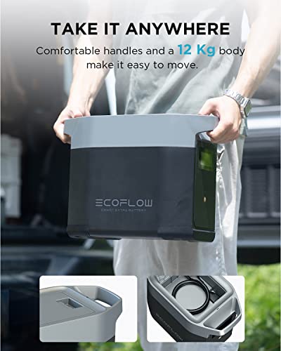 EcoFlow DELTA 2 Extra Battery for Backup Power