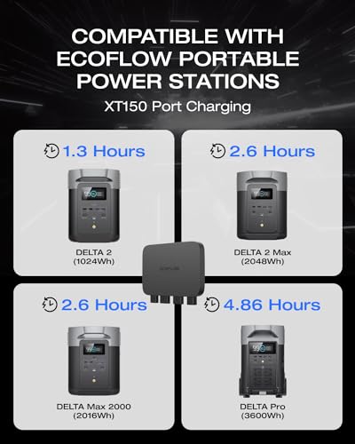 EF EcoFlow 800W 3-in-1 Fast Charger
