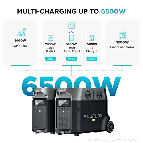 EF ECOFLOW DELTA Pro Portable Home Battery