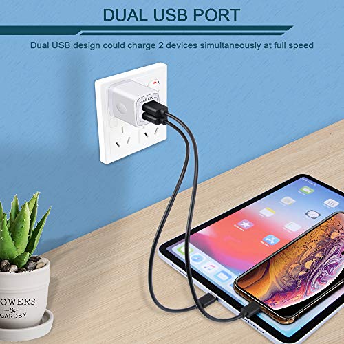 Dual Port Quick Charger for iPhone & Samsung