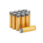 12-Pack AA Alkaline Batteries with 10-Year Shelf Life