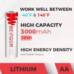 BEVIGOR 8-Pack High Capacity AA Lithium Batteries