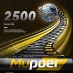 3600mWh Rechargeable AA Batteries with Charger - 8 Pack