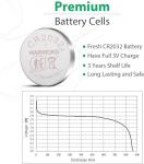 Warriors 5X 2032 CR2032 Lithium Coin Batteries