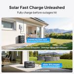 BLUETTI Apex 300 Solar Generator with Hub D1