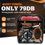 6600W Portable Petrol Generator with Electric Start
